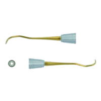 PERIODONTICS-34-40-06